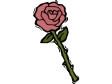 single rose.gif